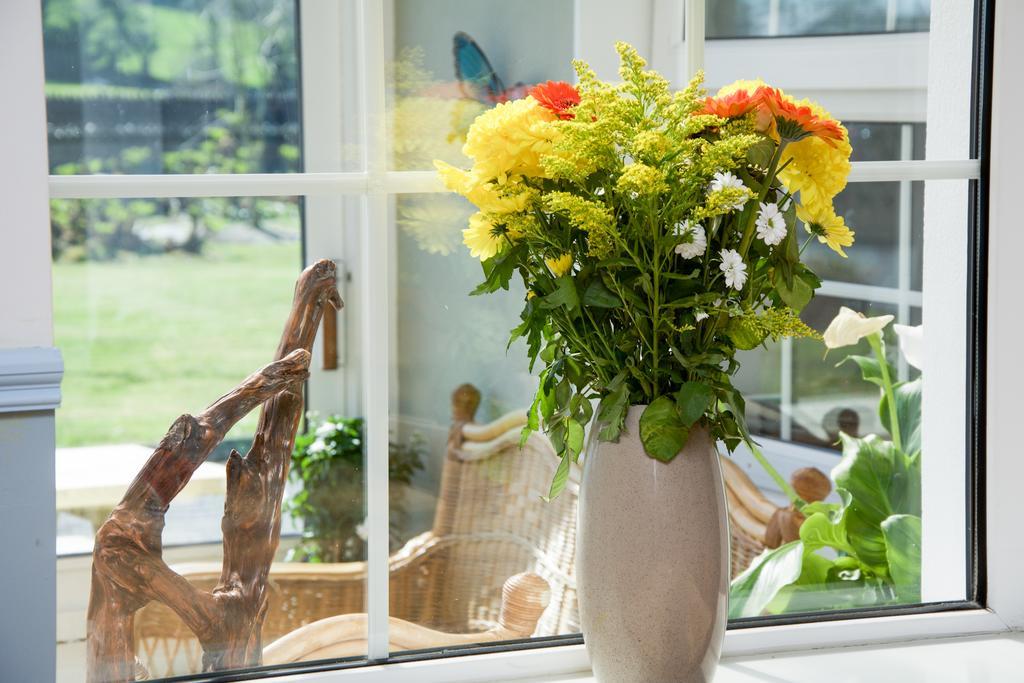 The Rose Garden Bed & Breakfast And Cafe Kenmare Exterior photo