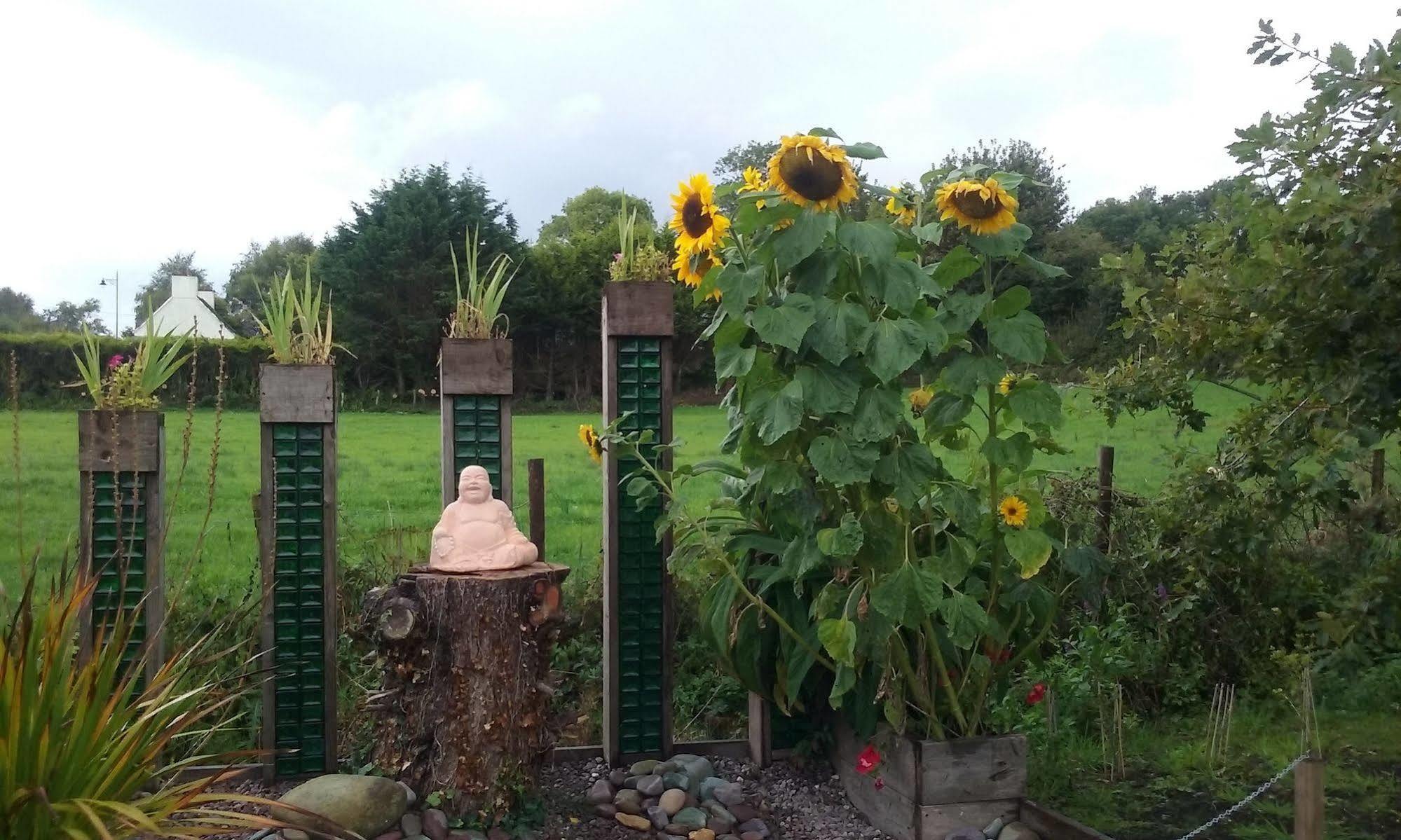 The Rose Garden Bed & Breakfast And Cafe Kenmare Exterior photo